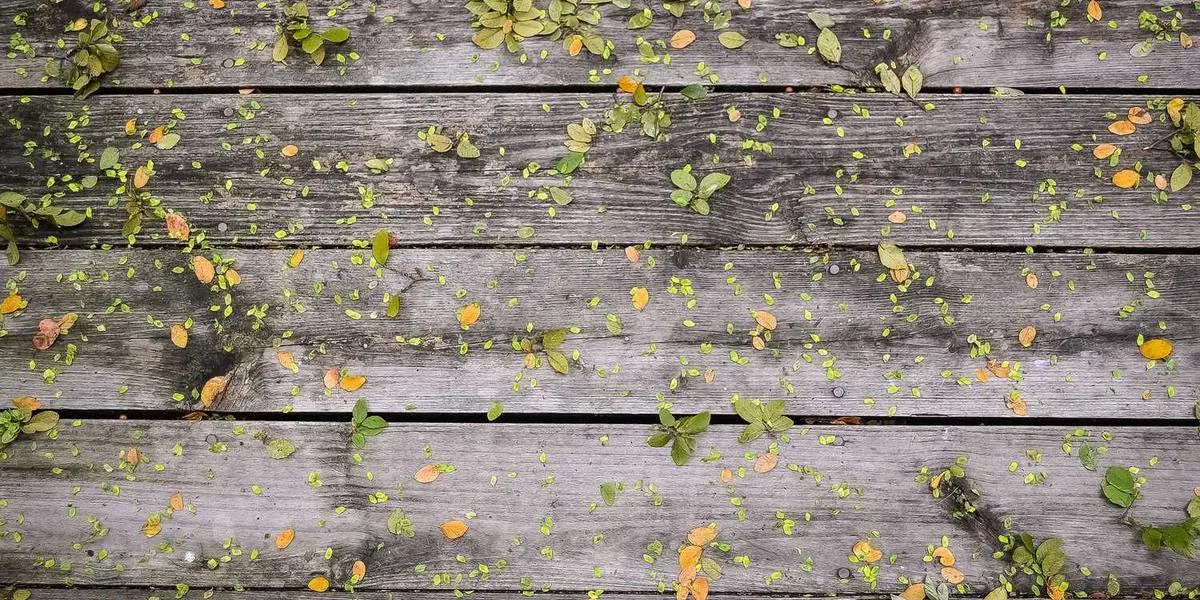 Condo renovation in Toronto with proper permits and approvals