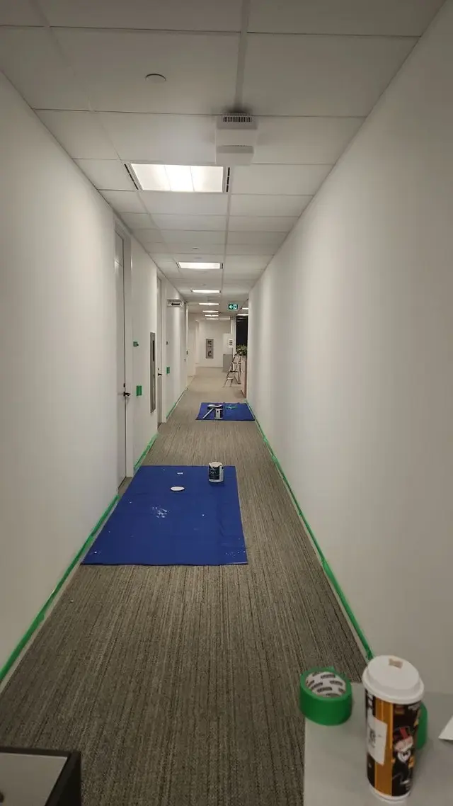 Commercial Renovation