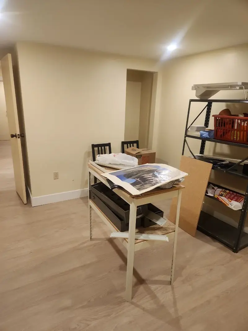 Basement family room with entertainment area and comfortable seating